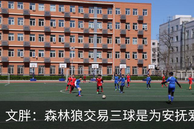文胖：森林狼交易三球是为安抚爱德华兹 他一赛季被包夹近1000次